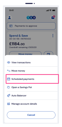 Tap on 'Scheduled payments'.
